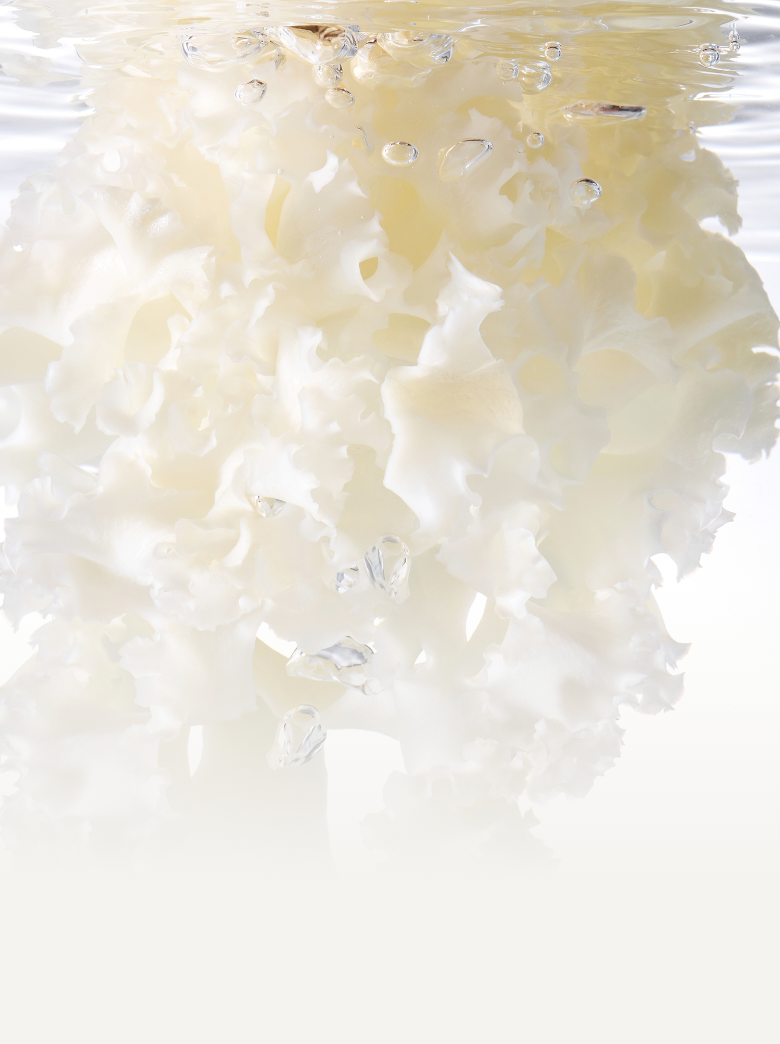 Sữa Dưỡng Innisfree Cauliflower Mushroom Vital Lotion - Kallos Vietnam