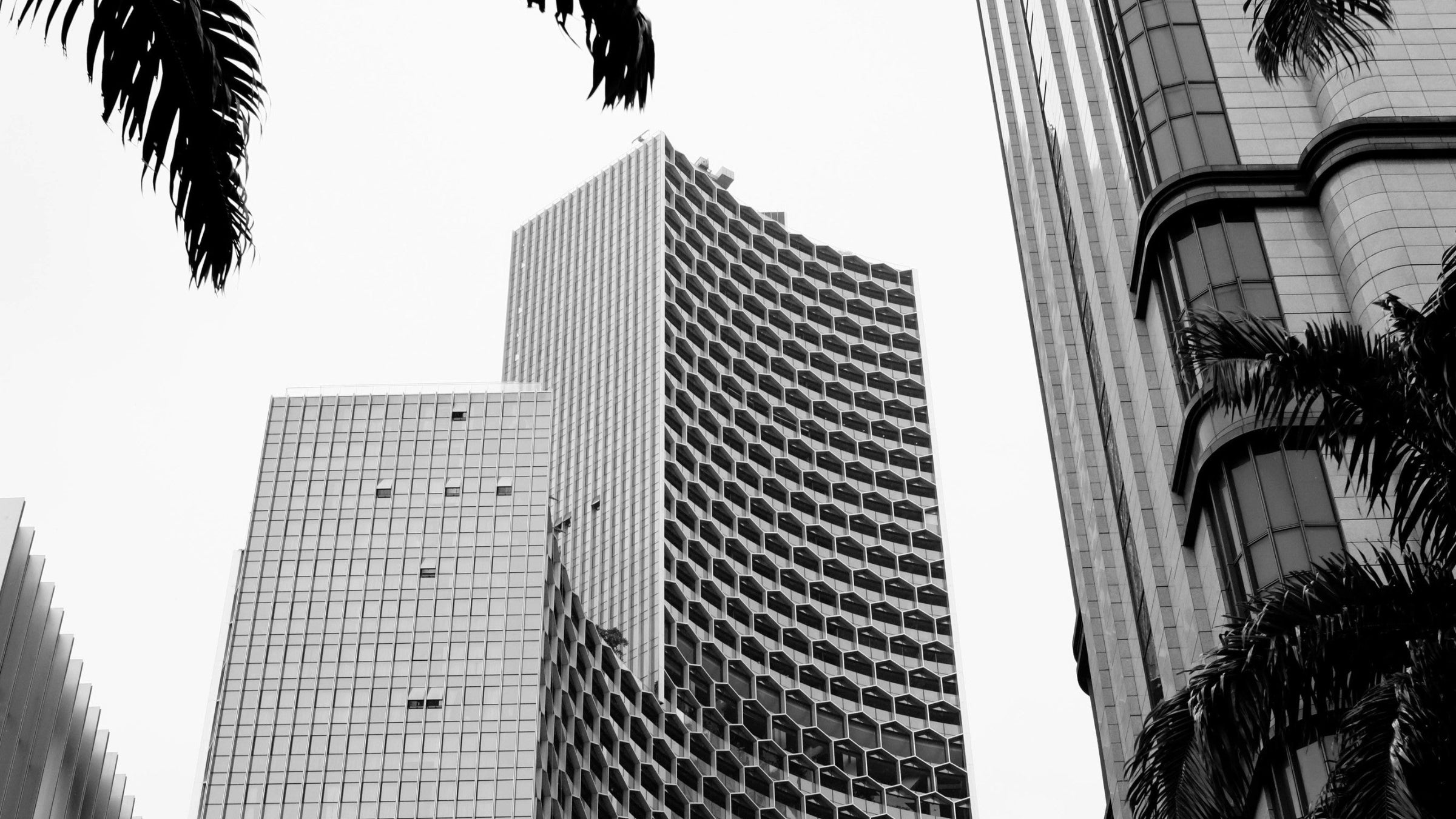 black-and-white-modern-architecture