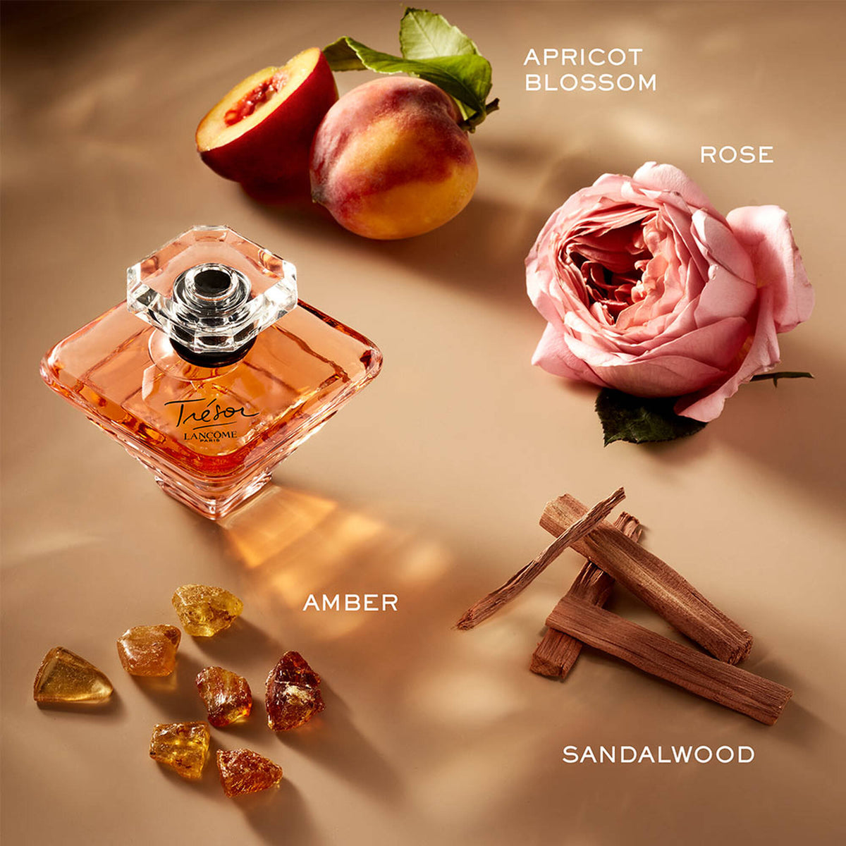 Bộ Quà Tặng LANCÔME Trésor Inspirations 2024 Holiday Perfume Gift Set - Kallos Vietnam