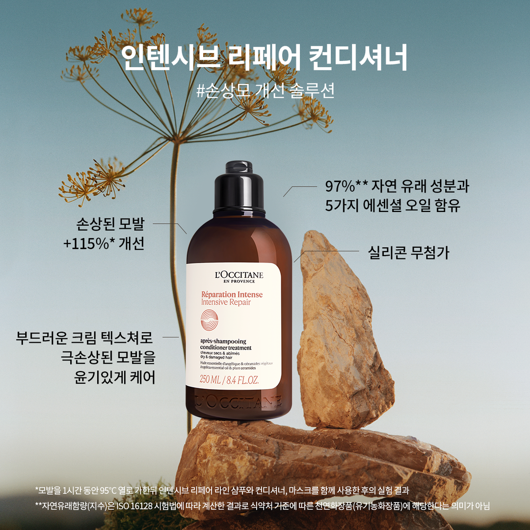 Bộ Quà Tặng L'OCCITANE Intensive Repair Hair Care Duo Set - Kallos Vietnam