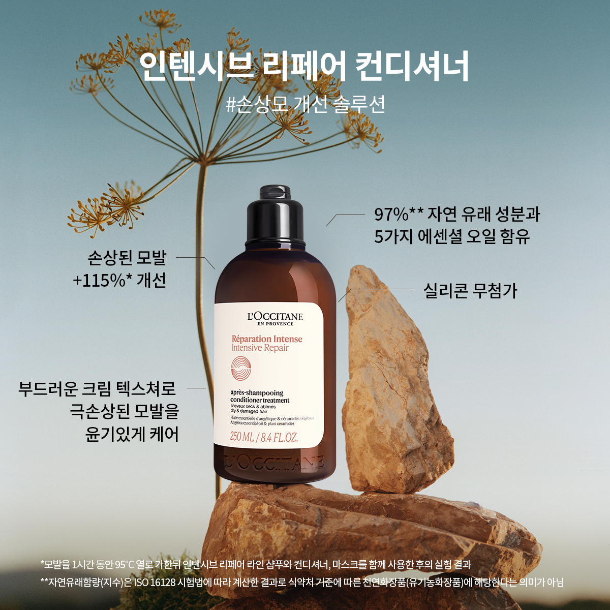 Bộ Quà Tặng L'OCCITANE Intensive Repair Hair Care Duo Set - Kallos Vietnam