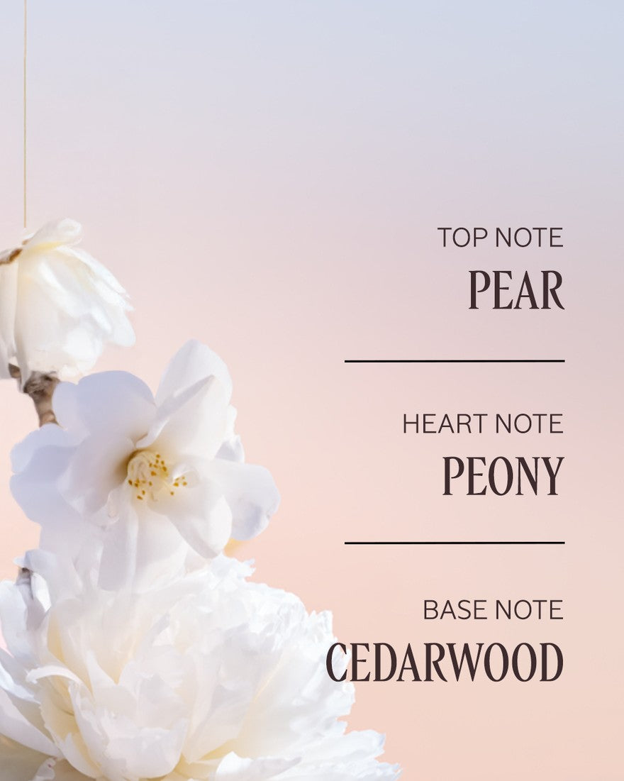 Bộ Quà Tặng L'OCCITANE Premiers Rayons Body Duo Holiday 2025