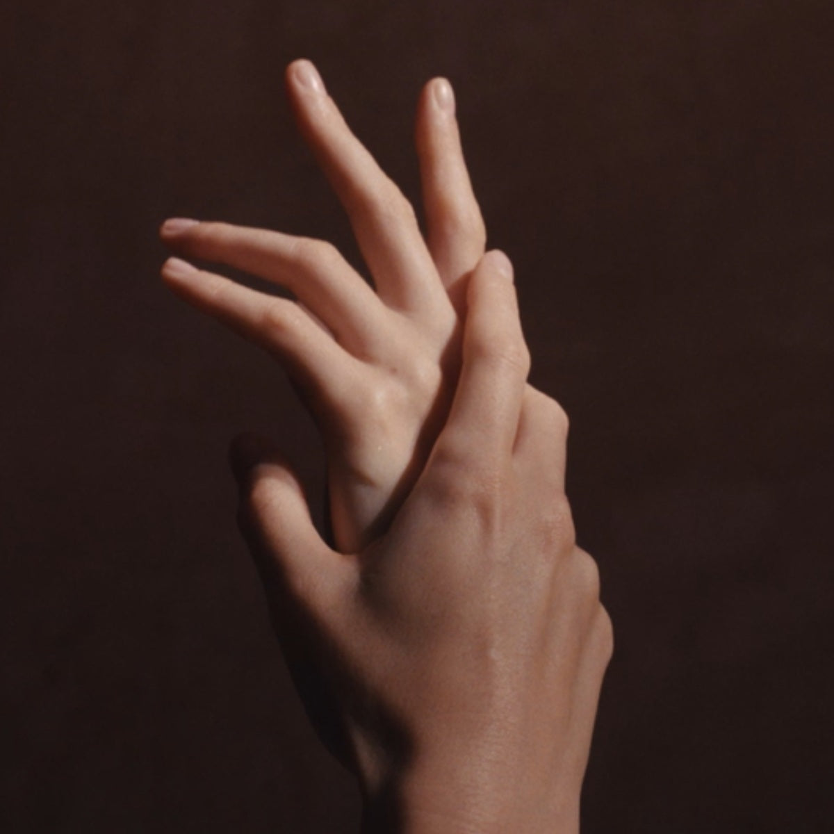 Bộ Quà Tặng L'OCCITANE Shea Butter Hand Cream Holiday 2025