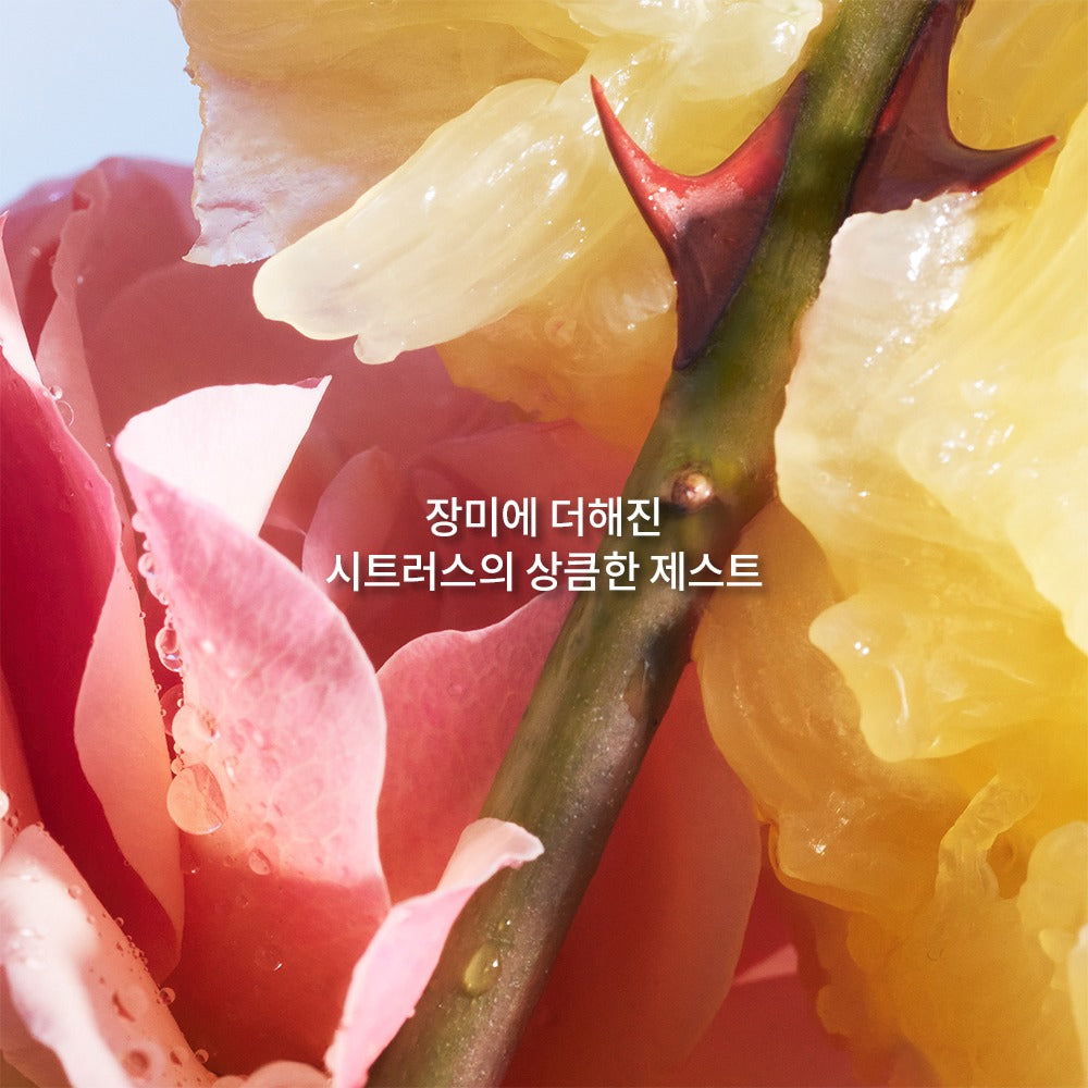 Bộ Quà Tặng Nước Hoa GUERLAIN La Petite Robe Noire EDT Gift Set