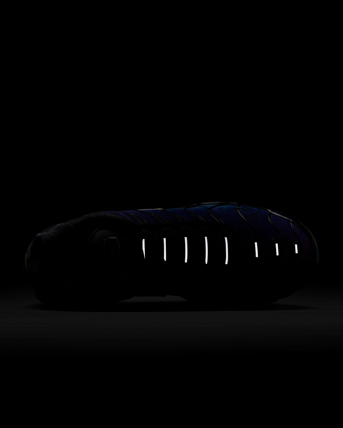 Giày Nike Air Max Plus 25th Anniversary Footwear #Black - Kallos Vietnam