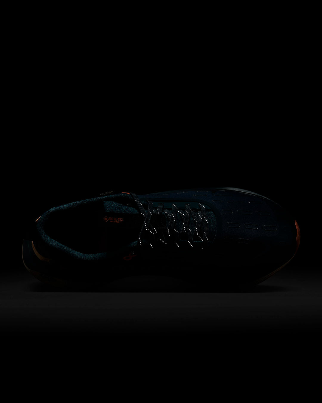 Giày Nike InfinityRN 4 GORE-TEX Men Road Running Shoes #Deep Jungle - Kallos Vietnam