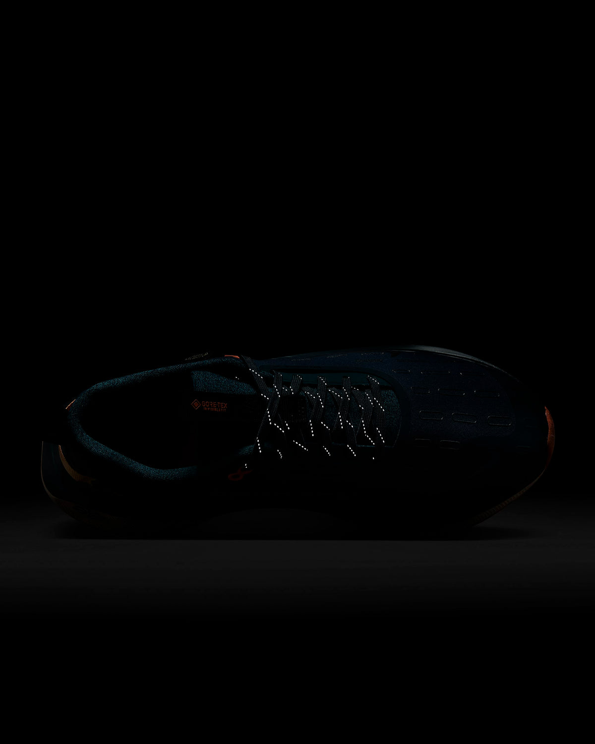 Giày Nike InfinityRN 4 GORE-TEX Men Road Running Shoes #Deep Jungle - Kallos Vietnam