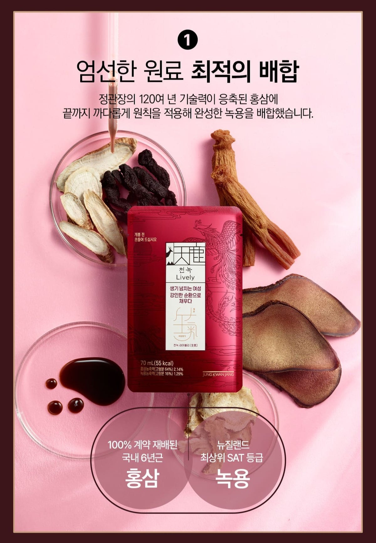 Hồng Sâm KGC Jung Kwan Jang Cheon Nok Lively #60 Packs (Hanji Packaging)