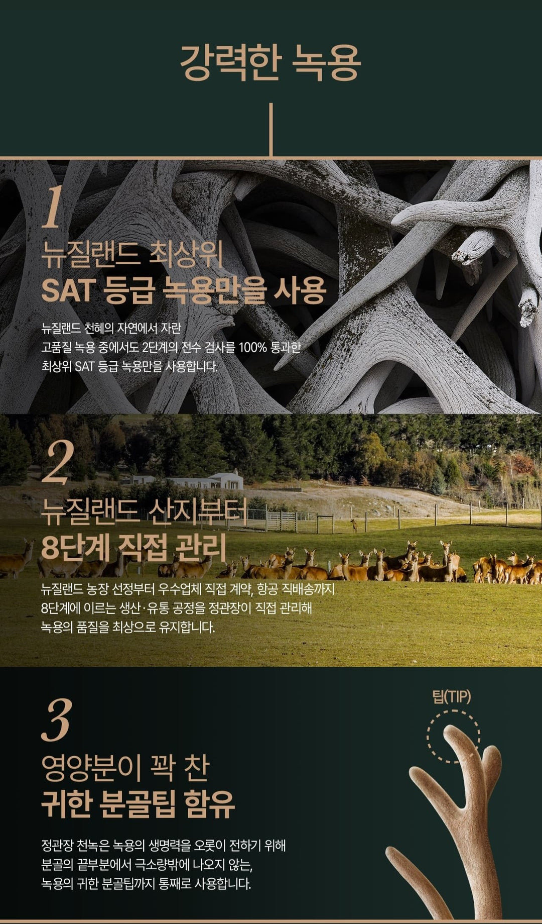 Hồng Sâm KGC Jung Kwan Jang Cheon Nok Tonic #30 Packs (Hanji Packaging) - Kallos Vietnam