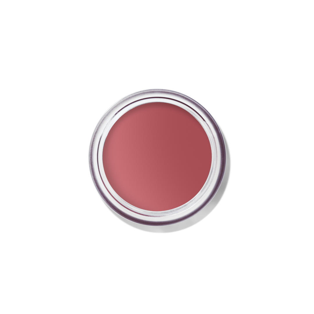 Má Hồng Bobbi Brown Pot Rouge Velvet Matte #Rose Garden