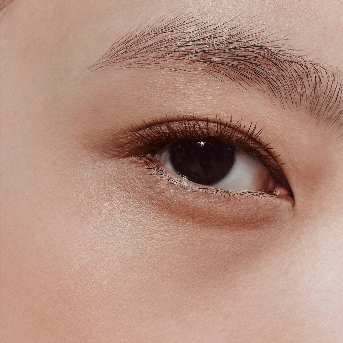 Mascara HERMÈS Trait d'Hermès Revitalizing Care Mascara #02 Brun Bistre - Kallos Vietnam