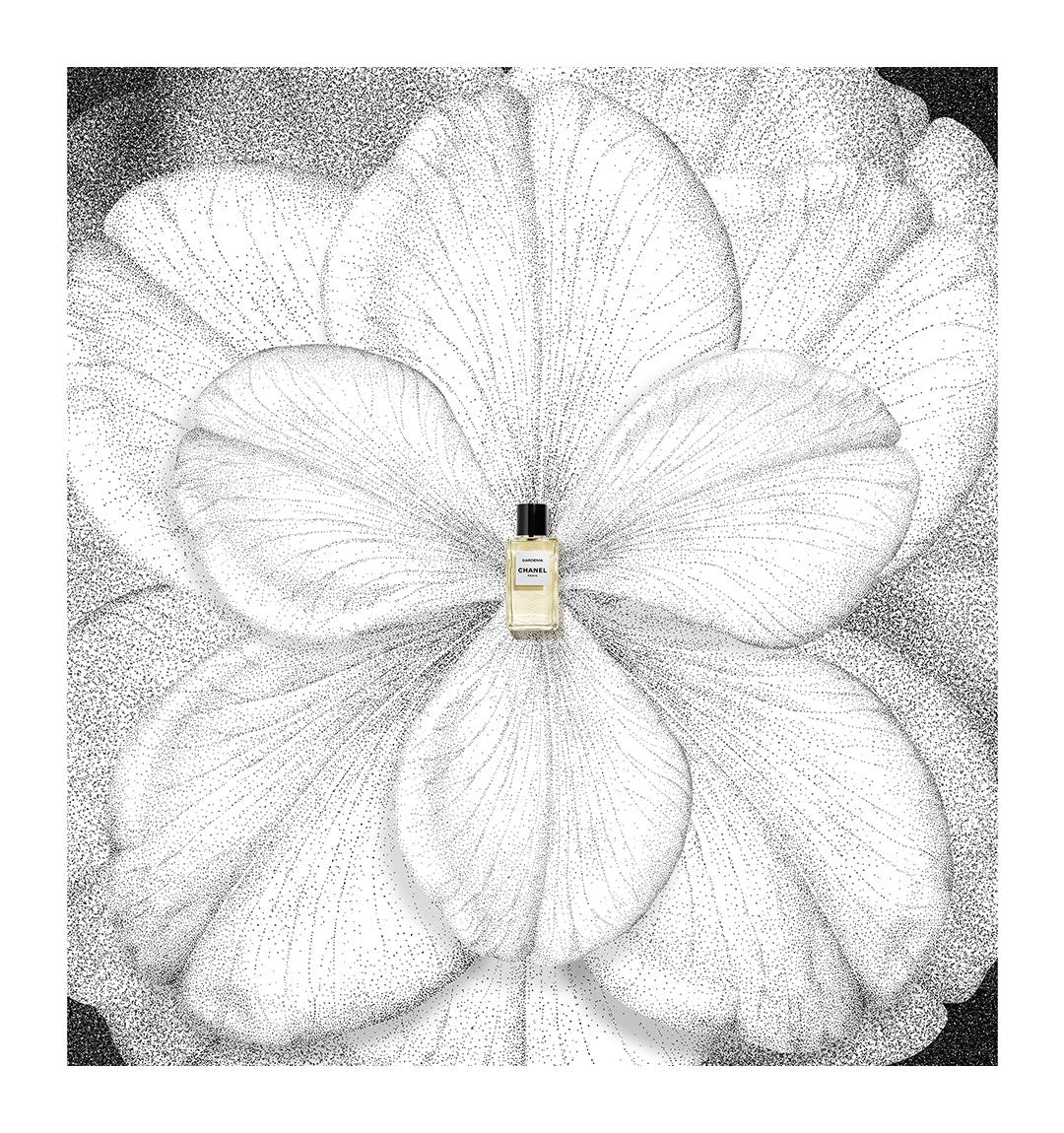 Nước Hoa CHANEL Gardénia Les Exclusifs De Chanel – Eau de Parfum