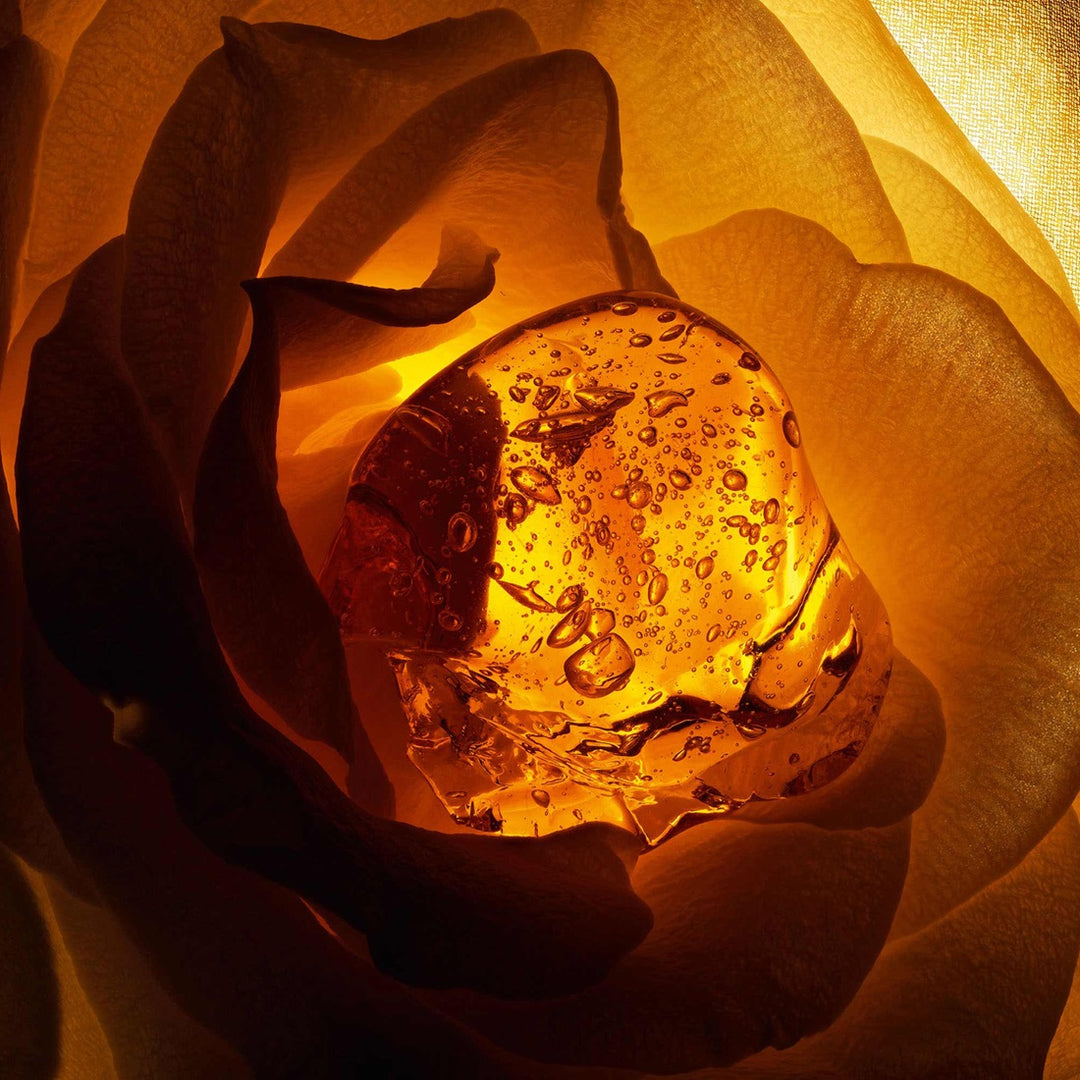 Nước Hoa Dior Ambre Nuit Eau de Parfum - Kallos Vietnam