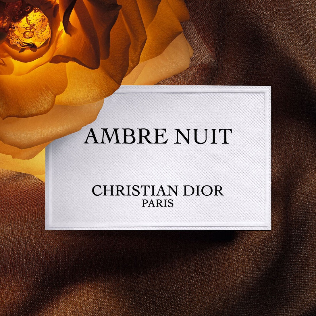 Nước Hoa Dior Ambre Nuit Eau de Parfum - Kallos Vietnam