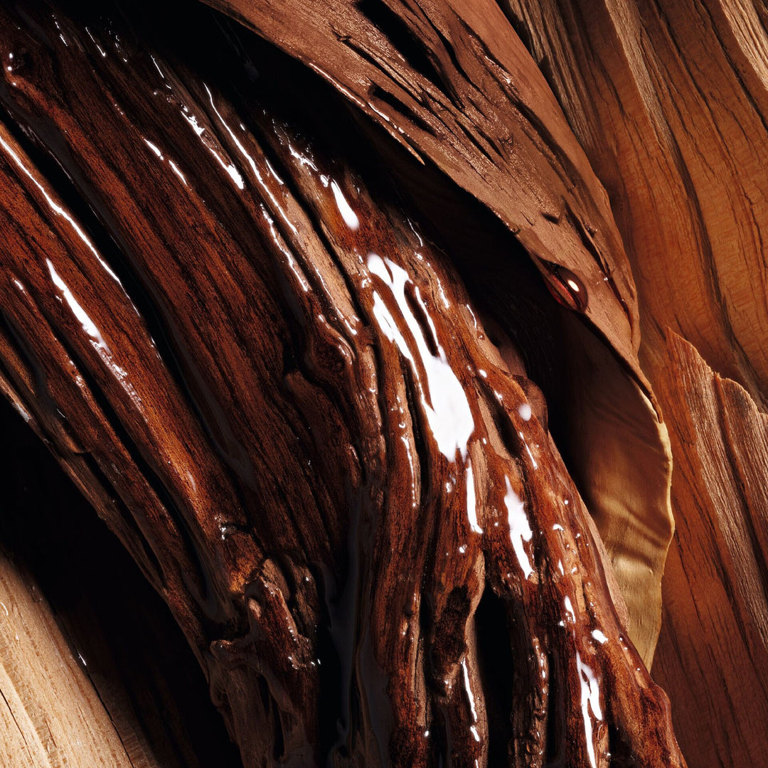 Nước Hoa Dior Oud Rosewood Eau de Parfum - Kallos Vietnam