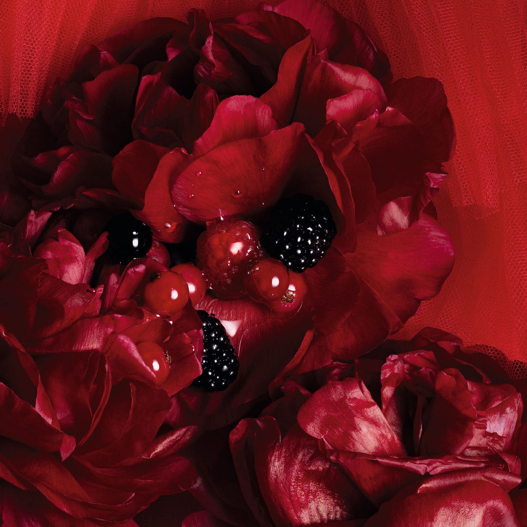 Nước Hoa Dior Rouge Trafalgar Eau de Parfum - Kallos Vietnam