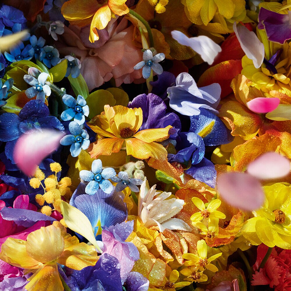 Nước Hoa GUERLAIN Aqua Allegoria Florabloom Eau de Toilette - Kallos Vietnam