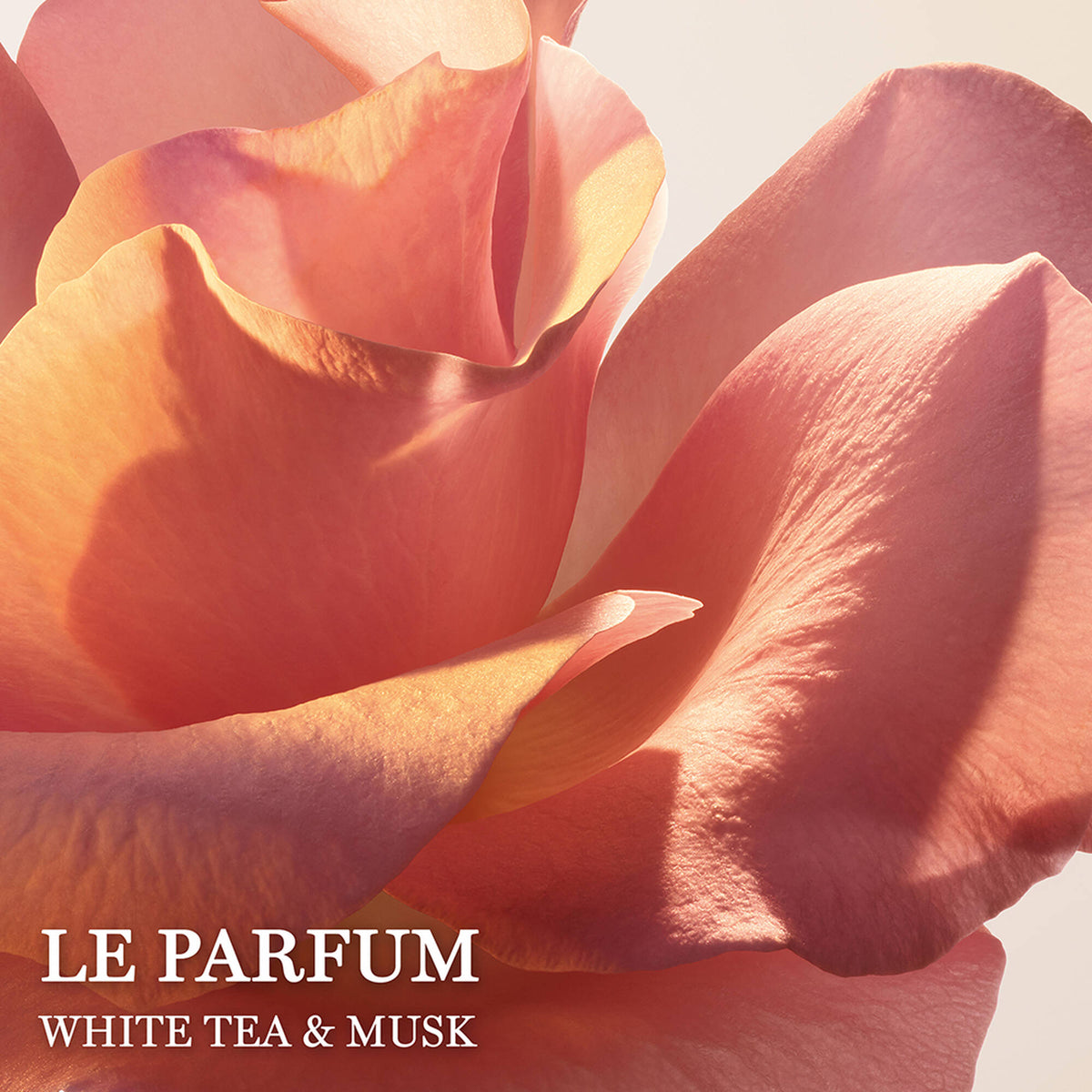 Nước Hoa LANCÔME Absolue Le Parfum #100 mL - Kallos Vietnam