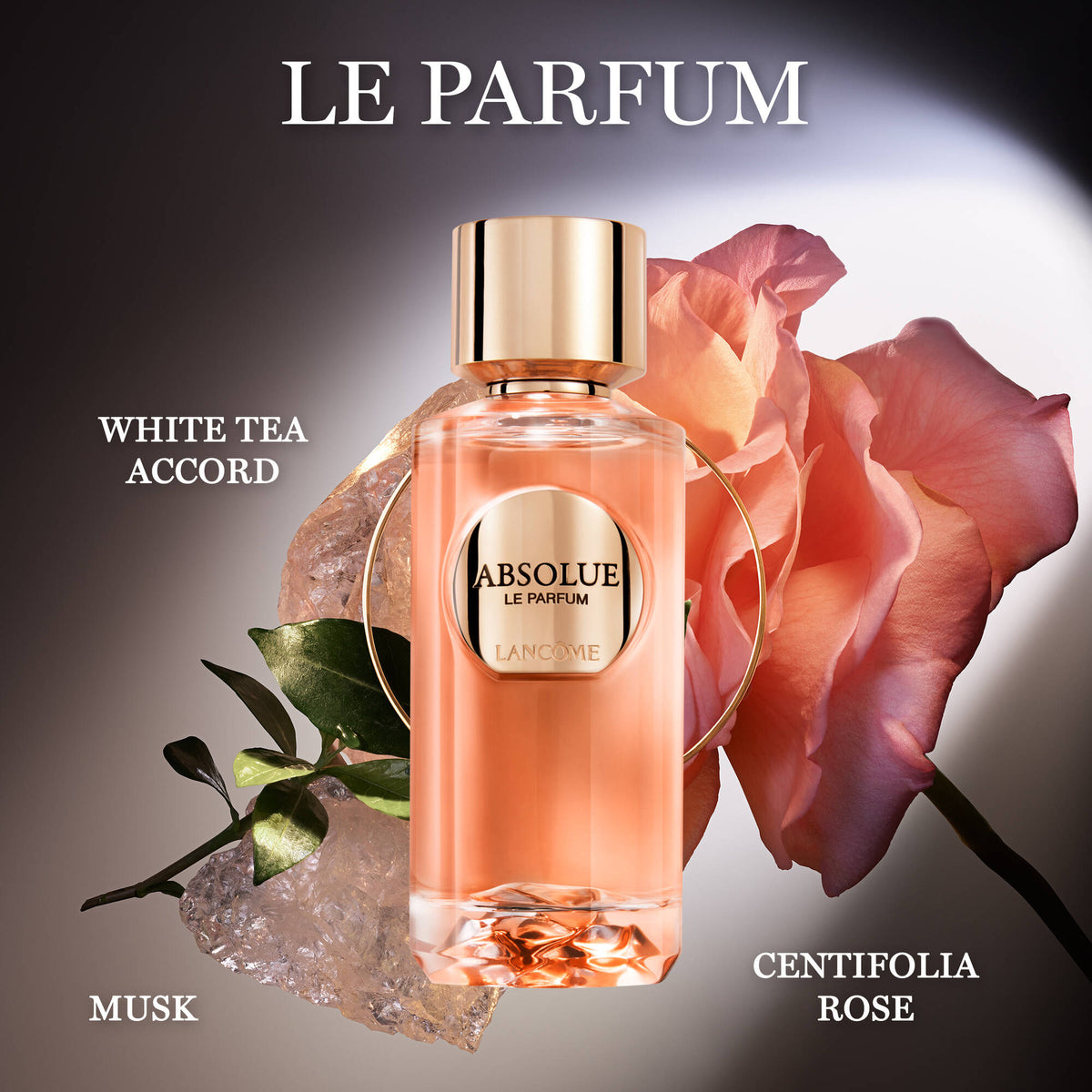 Nước Hoa LANCÔME Absolue Le Parfum #100 mL - Kallos Vietnam