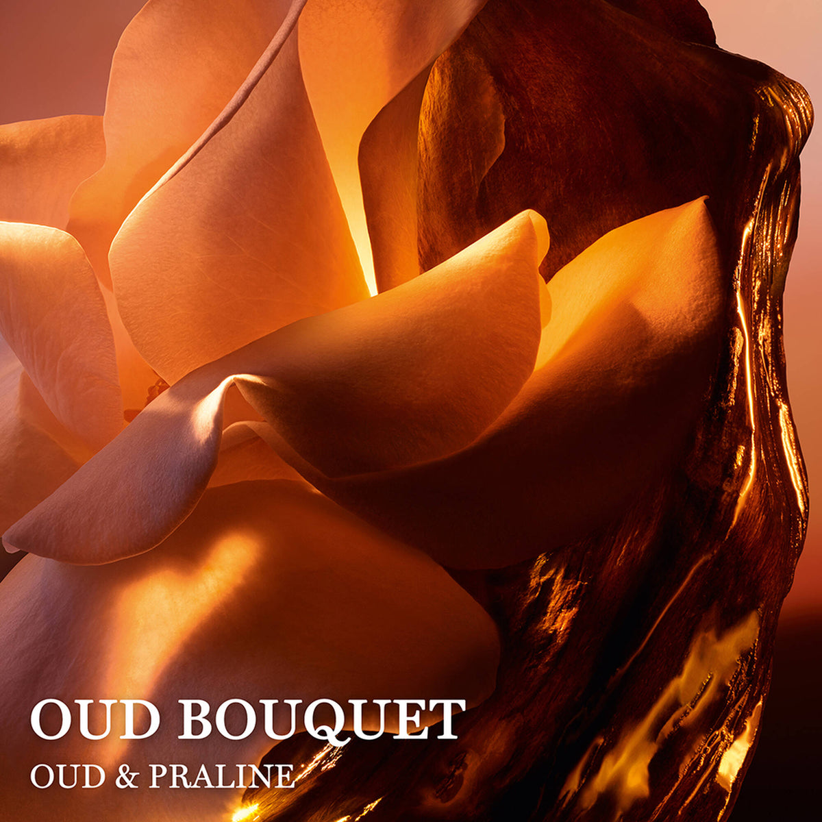 Nước Hoa LANCÔME Absolue Oud Bouquet #100 mL - Kallos Vietnam