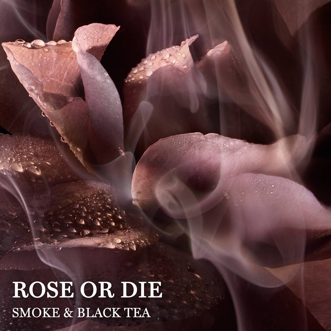 Nước Hoa LANCÔME Absolue Rose Or Die #100 mL - Kallos Vietnam