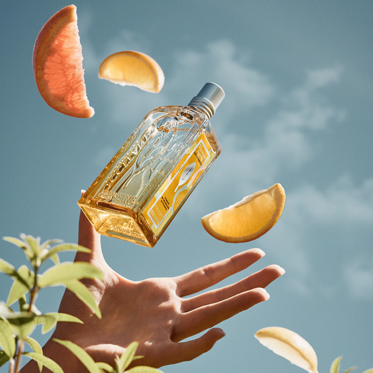 Nước Hoa L'OCCITANE Citrus Verbena Eau de Toilette - Kallos Vietnam