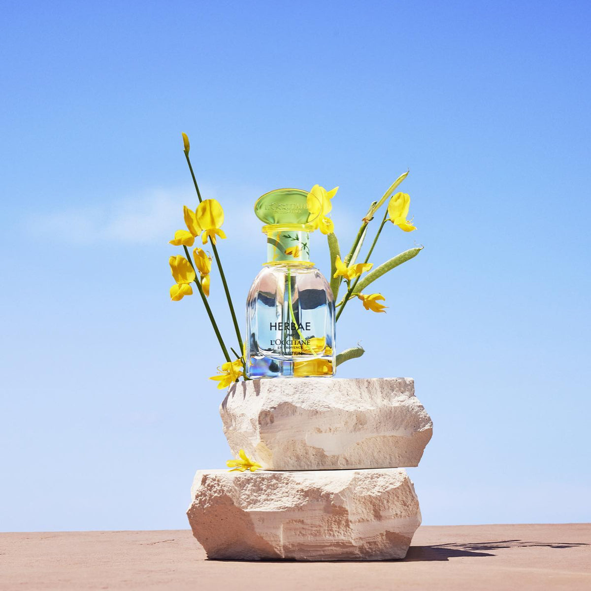 Nước Hoa L'OCCITANE Herbae Eau de Parfum - Kallos Vietnam
