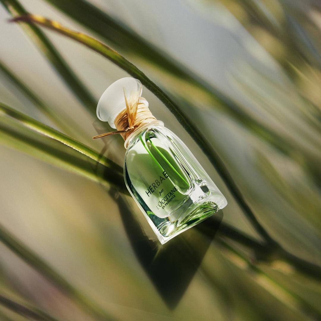 Nước Hoa L'OCCITANE Herbae Eau de Parfum - Kallos Vietnam