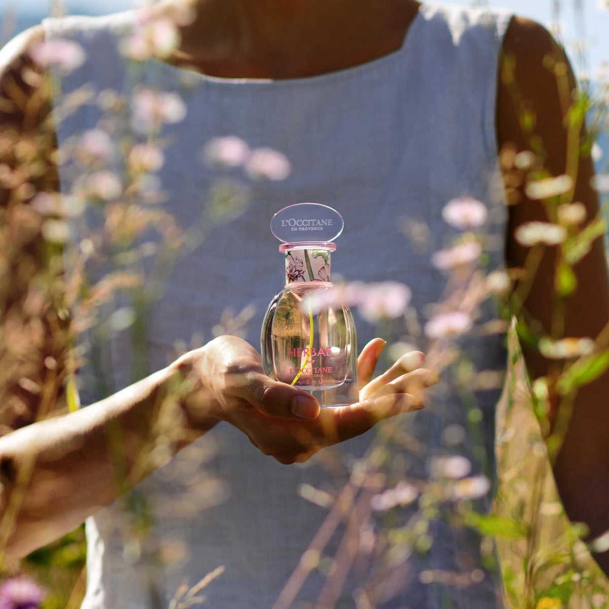 Nước Hoa L'OCCITANE Herbae Eau de Parfum - Kallos Vietnam