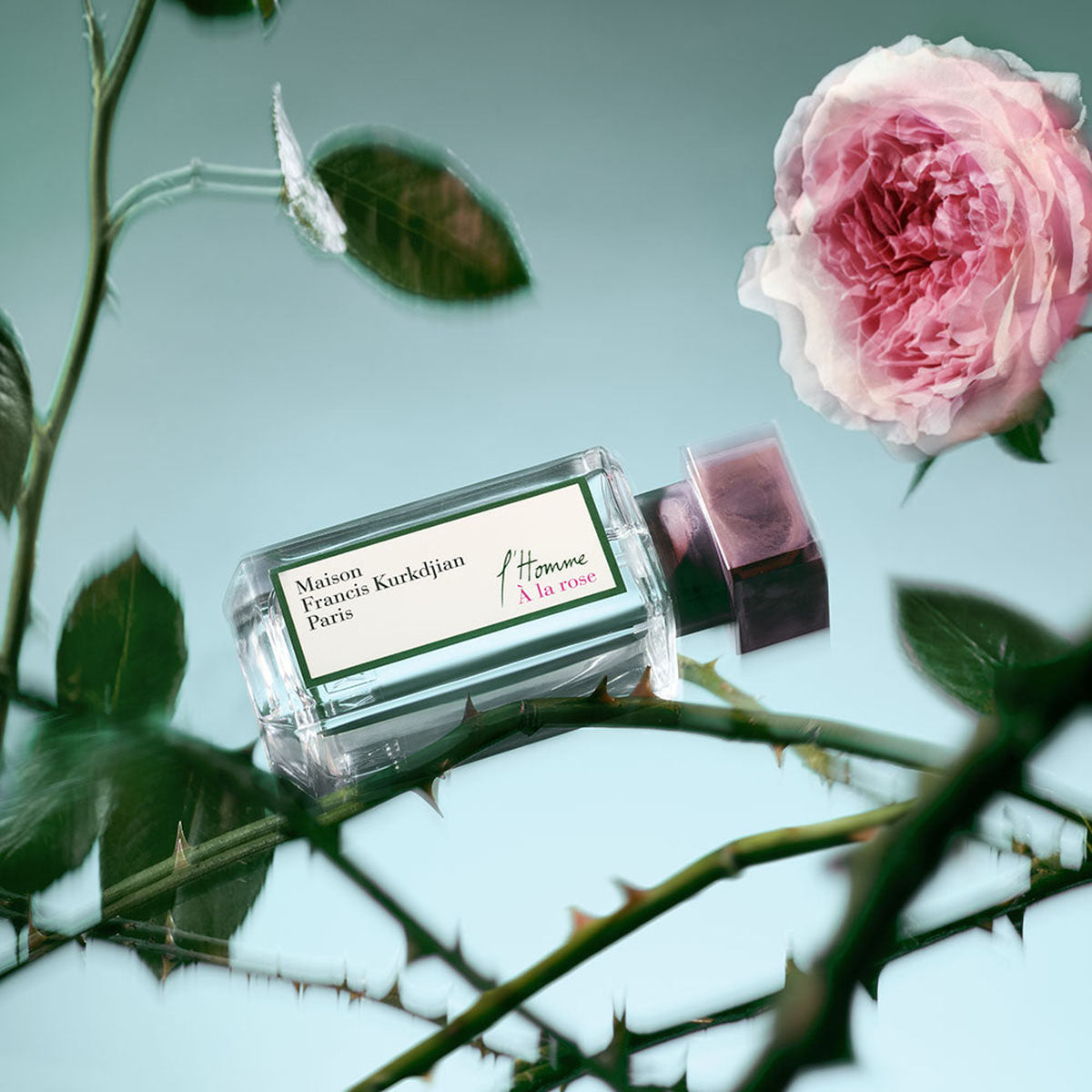 Nước Hoa Maison Francis Kurkdjian l'Homme À La Rose Eau De Parfum #35 mL