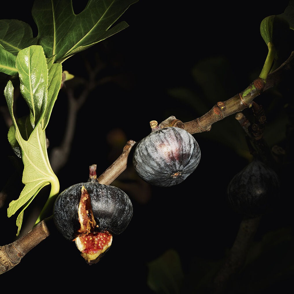 Nước Hoa YSL Lavallière - Le Vestiaire Des Parfums