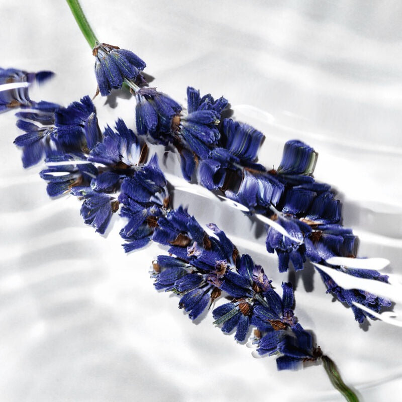 Nước Hoa YSL Libre L'eau Nue Parfum De Peau