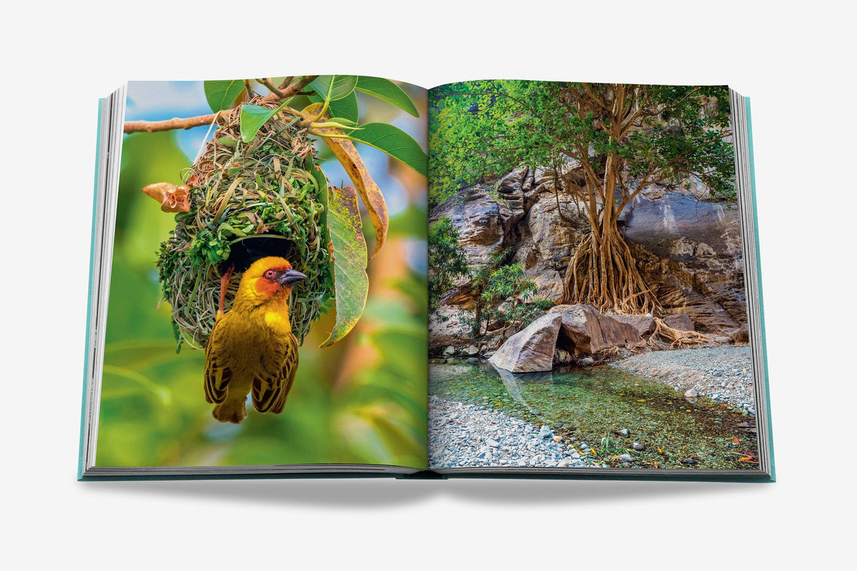 Sách ASSOULINE Saudi Arabia: Red Sea, The Saudi Coast - Kallos Vietnam