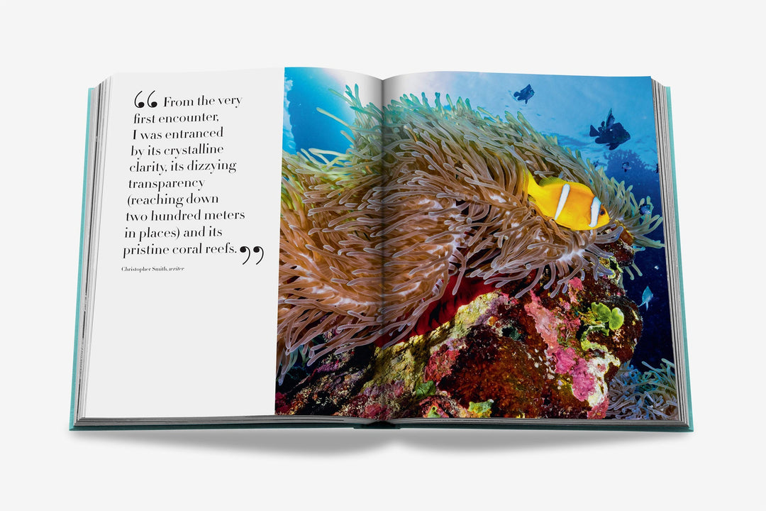 Sách ASSOULINE Saudi Arabia: Red Sea, The Saudi Coast - Kallos Vietnam