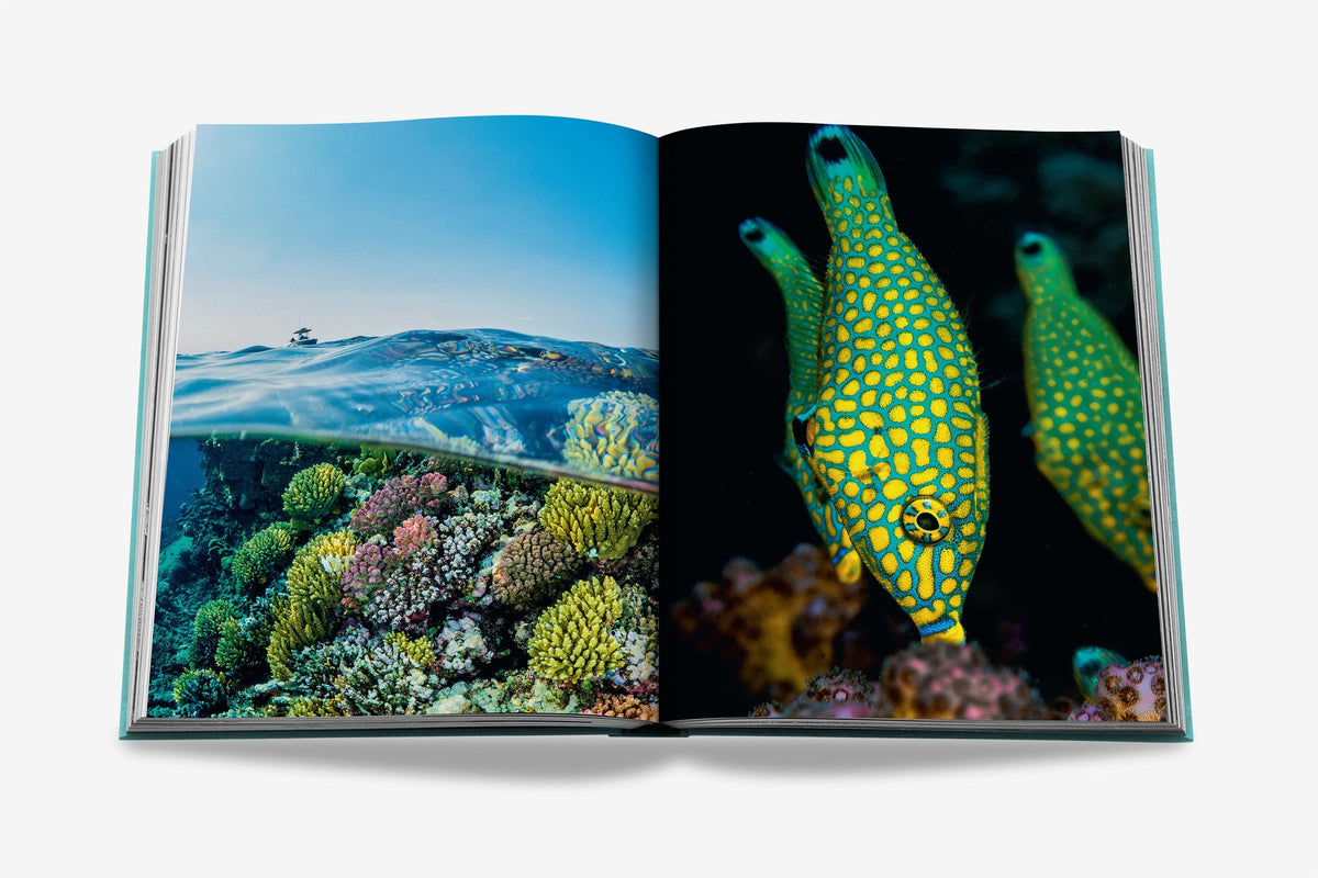 Sách ASSOULINE Saudi Arabia: Red Sea, The Saudi Coast - Kallos Vietnam