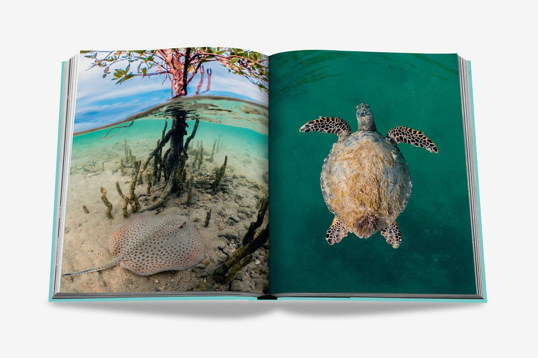 Sách ASSOULINE Saudi Arabia: Red Sea, The Saudi Coast - Kallos Vietnam