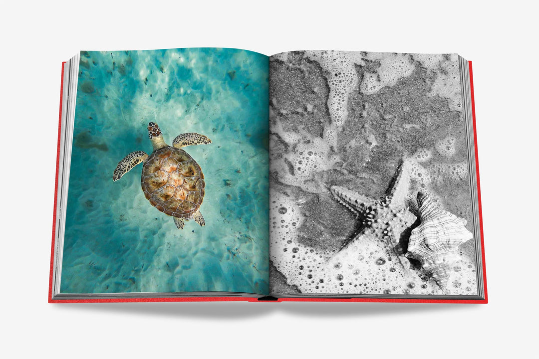Sách ASSOULINE St. Barths Freedom - Kallos Vietnam