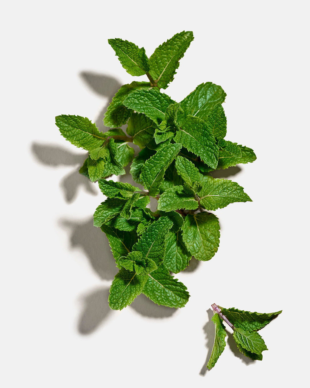 Son Dolce & Gabbana Mint Oil Lip Plumper