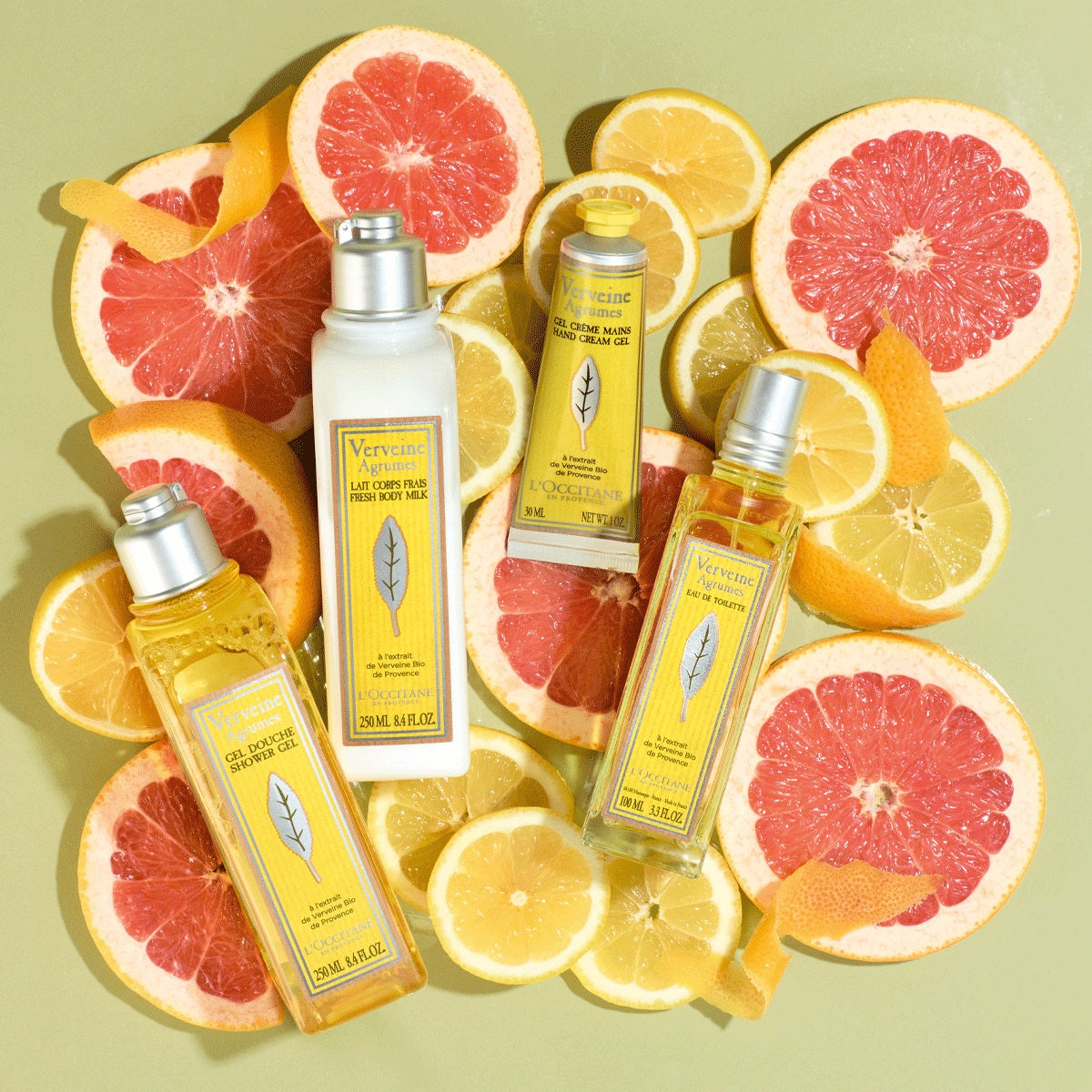 Sữa Tắm L'OCCITANE Citrus Verbena Shower Gel