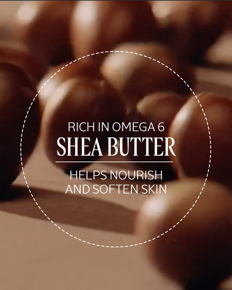 Sữa Tắm L'OCCITANE Lumière d'Hiver Shower Cream Holiday 2025