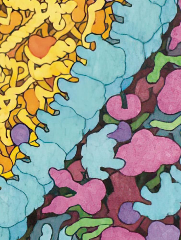 Tạp Chí American Scientist (USA) Magazine #September / October 2025