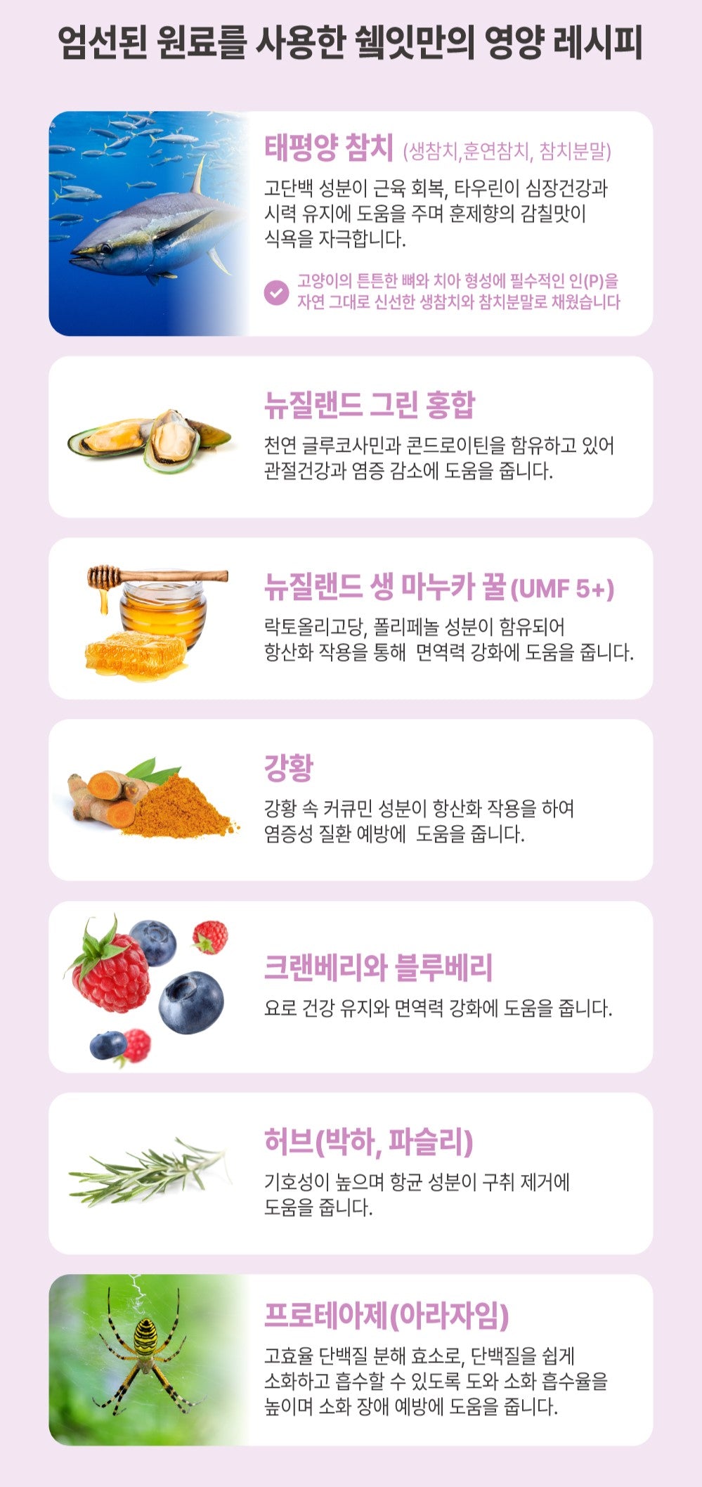 Thức Ăn Mèo DAEJOO Shakeat Cat Freeze Dried Salmon - Kallos Vietnam