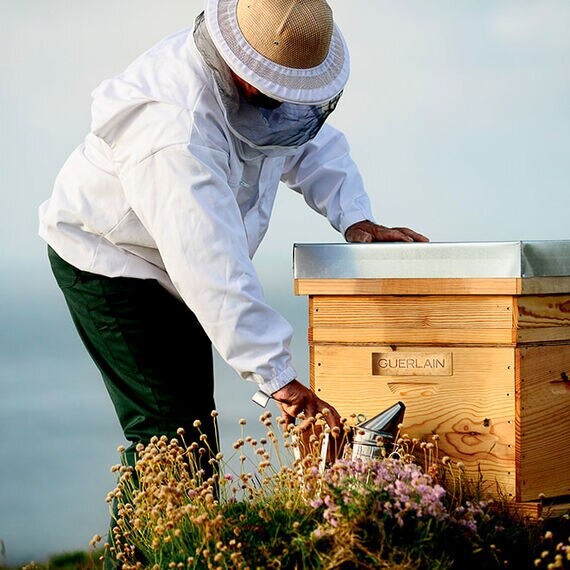 Tinh Chất GUERLAIN Abeille Royale Bee Lab Shot