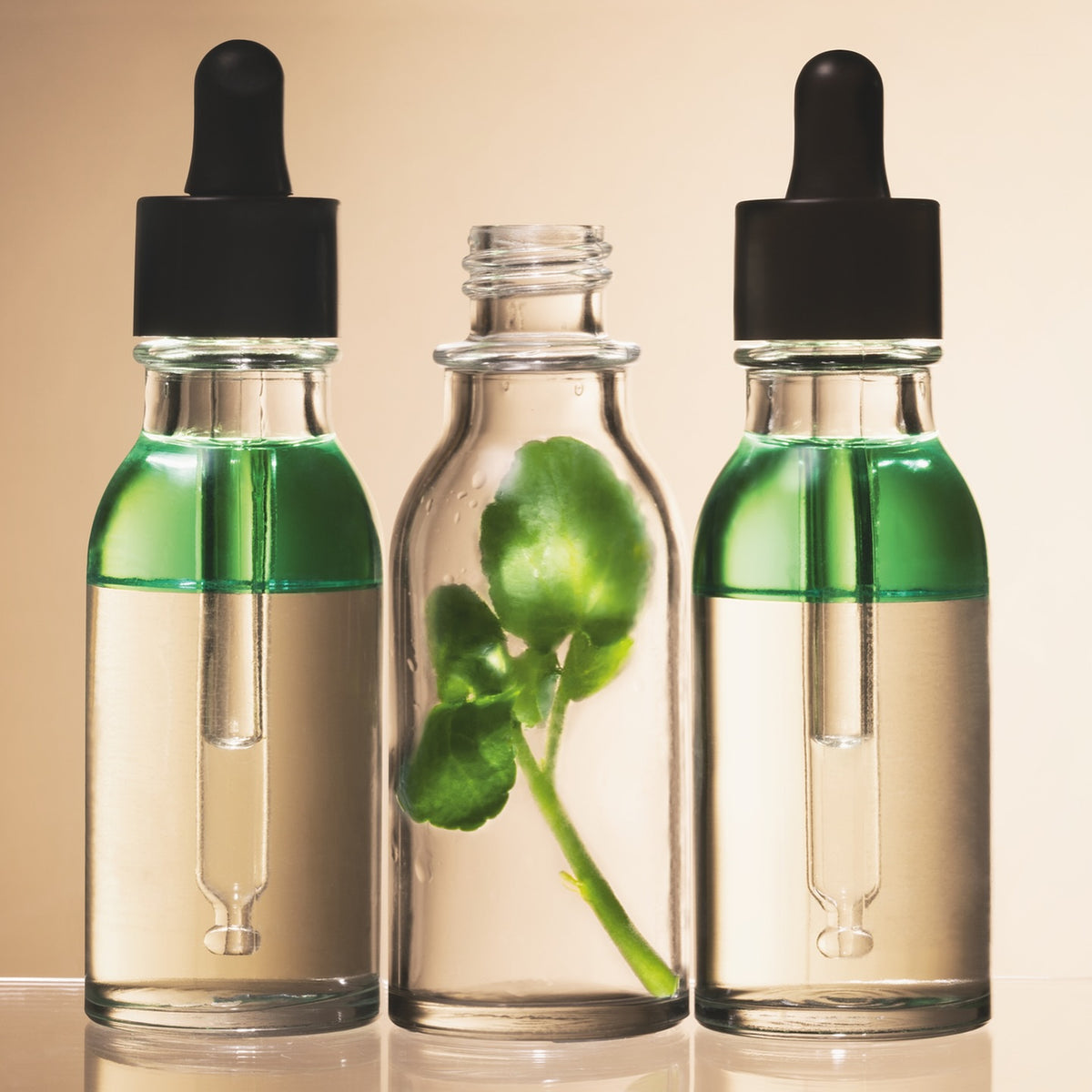 Tinh Chất Mọc Tóc L'OCCITANE Revitalizing Fortifying Scalp Serum - Kallos Vietnam