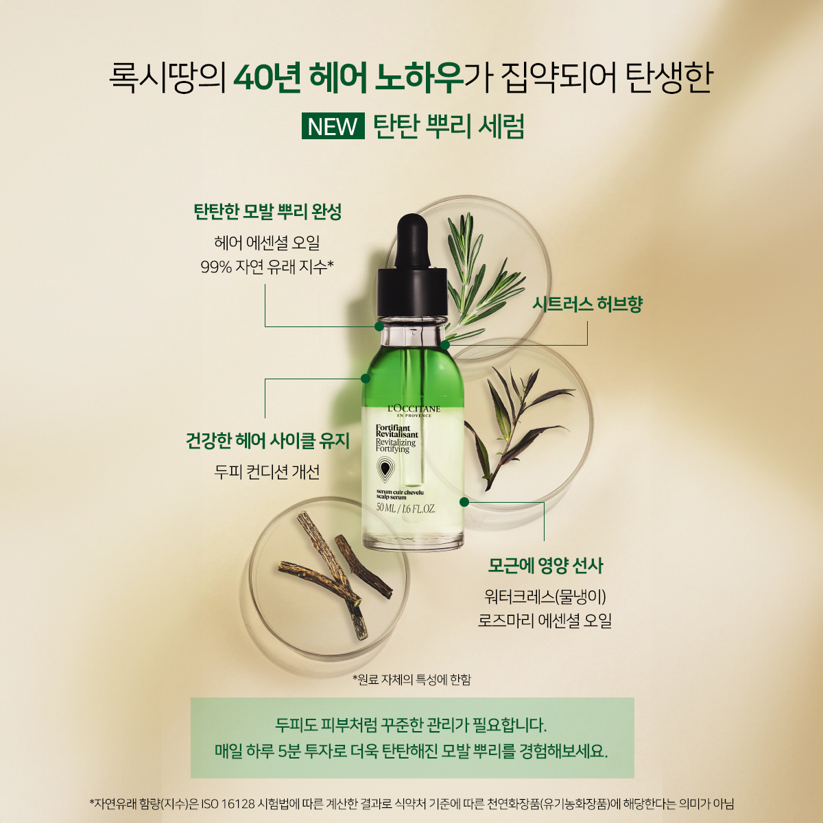 Tinh Chất Mọc Tóc L'OCCITANE Revitalizing Fortifying Scalp Serum - Kallos Vietnam