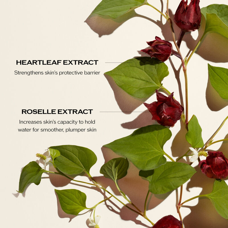 Tinh Chất Shiseido Ultimune Power Infusing Concentrate - Kallos Vietnam
