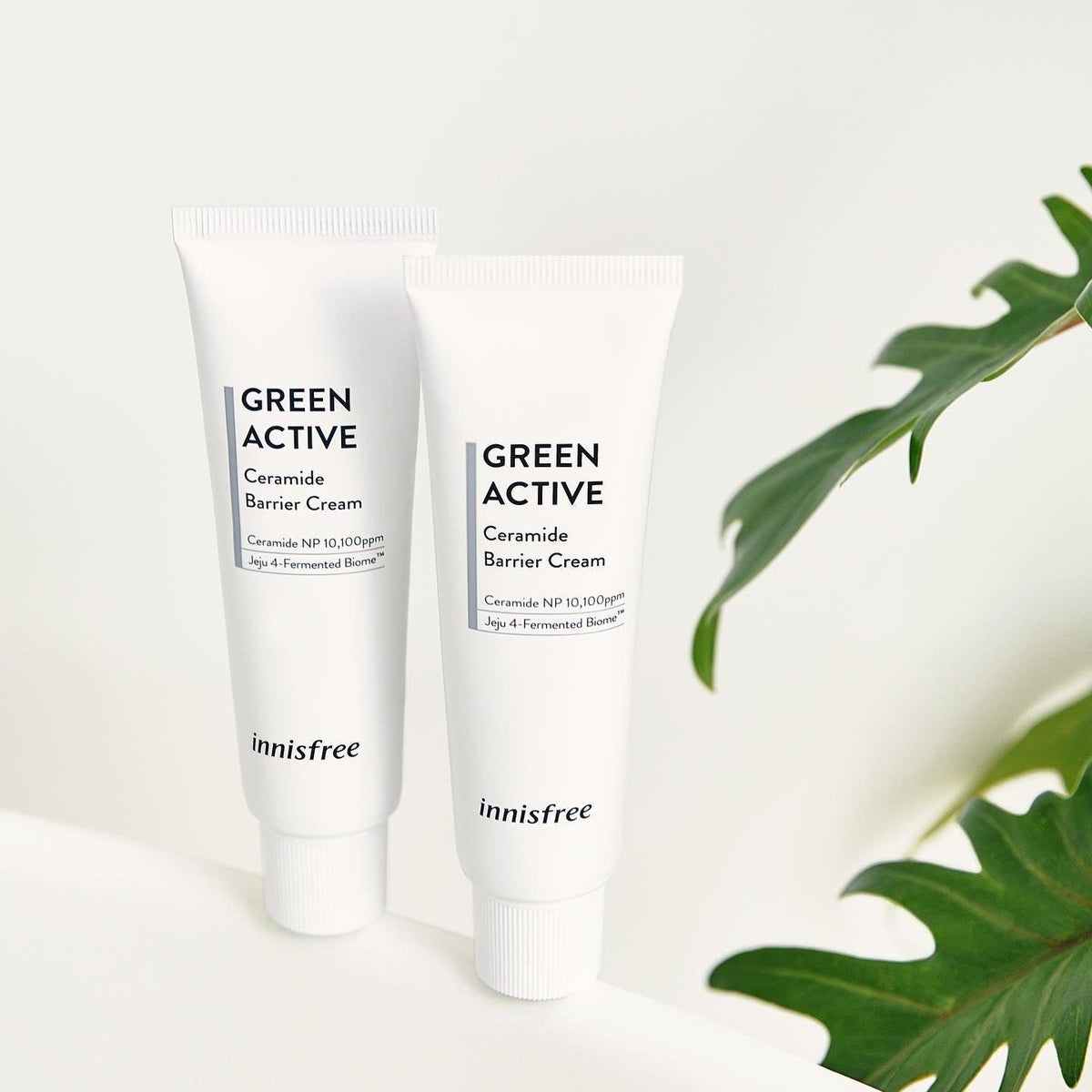 Kem Dưỡng Innisfree Green Active Ceramide Barrier Cream - Kallos Vietnam