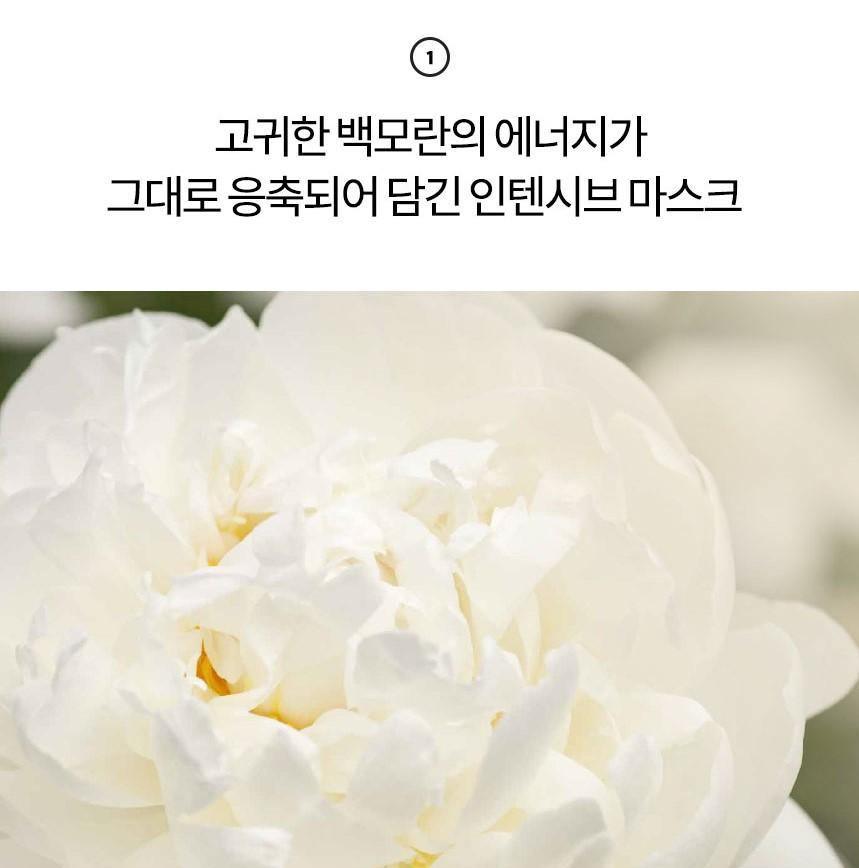 Mặt Nạ Amore Pacific Youth Revolution Radiance Masque - Kallos Vietnam