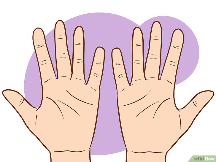 Bói chỉ tay: 9 bước xem đường chỉ tay cho nam và nữ - Kallos Vietnam