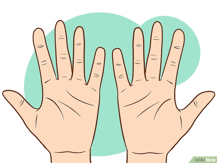 Bói chỉ tay nam và nữ: Tình duyên, Công danh, Sức khoẻ - Kallos Vietnam